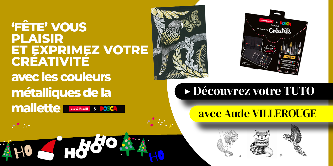 BANNIERE AUDE POSCA